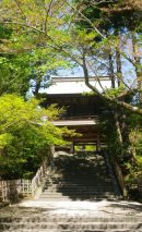 画像: 東北の生花