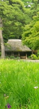 画像: 里山の風景