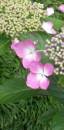 画像: 週末の時間の過ごし方