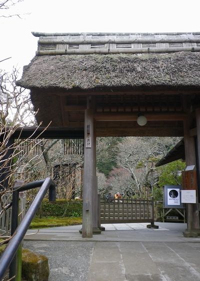 画像: 桜の開花予想