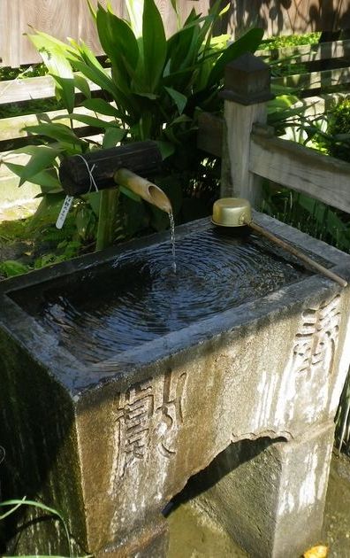 画像: 初夏の日差し