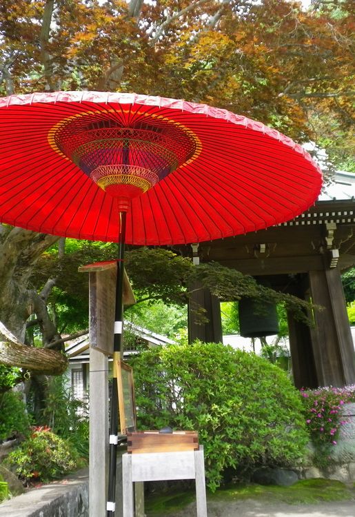 画像: 梅雨の大雨