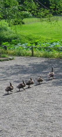 画像: 健康と運動のこと