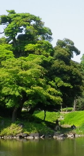 画像: 雨の日のお出かけ