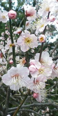 画像: 寒さと冬の雨