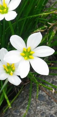 画像: 天候の変化