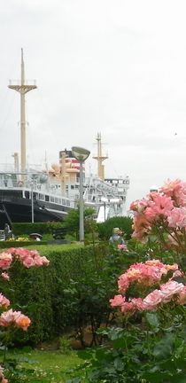 画像: 暑さの戻りと季節の花