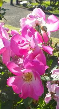 画像: 冬の季節に向けて