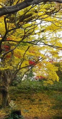 画像: 冬休みの一日目