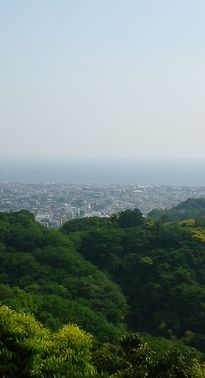 画像: 春の花と雨