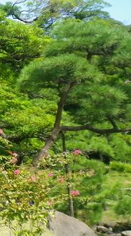 画像: 夏場の栄養のこと