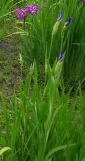 画像: 連休明けの寒さと雨