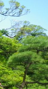 画像: 夏の終わりと台風